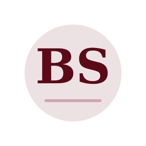 Bright Star Dryer Cleaning Services logo